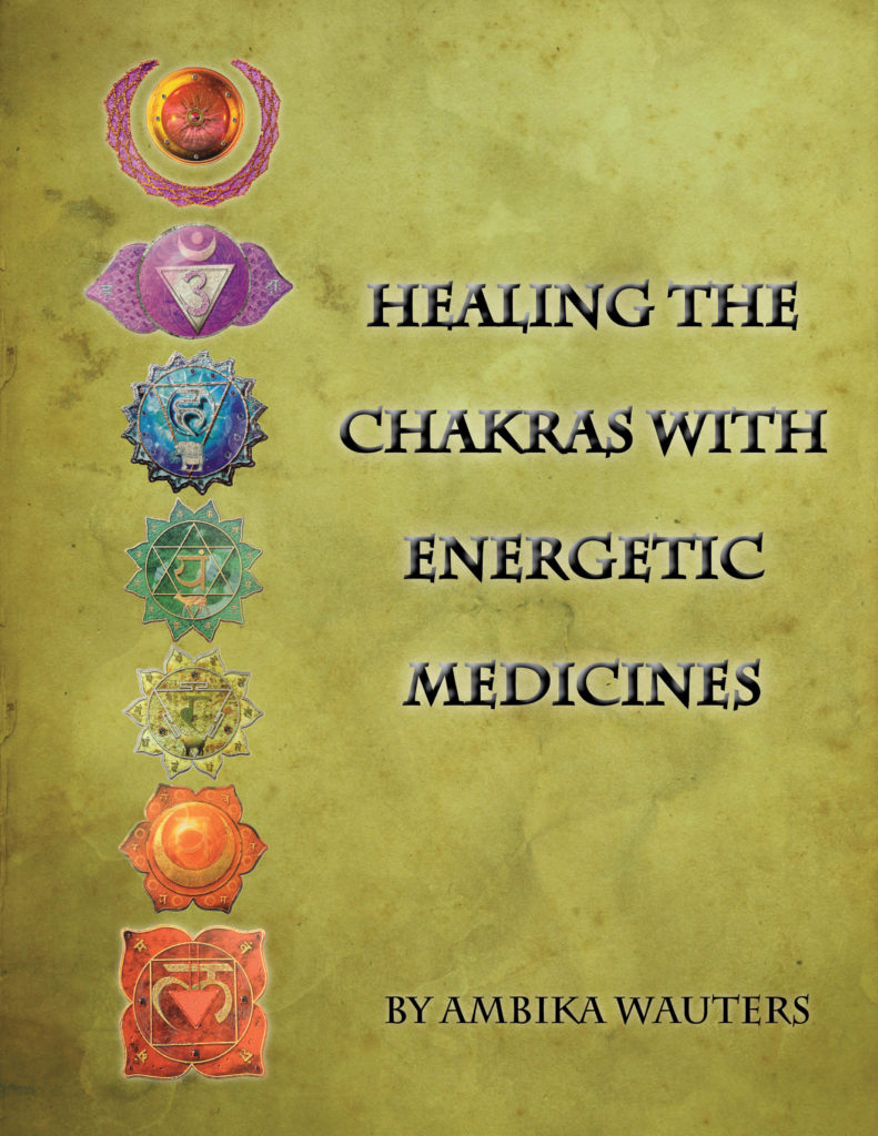 Homeopathy for the Chakras Life Energy Medicine