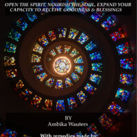 The Homeopathic Illumination Remedies (book)