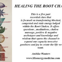 Healing the Root Chakra
